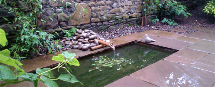 slideshow_1